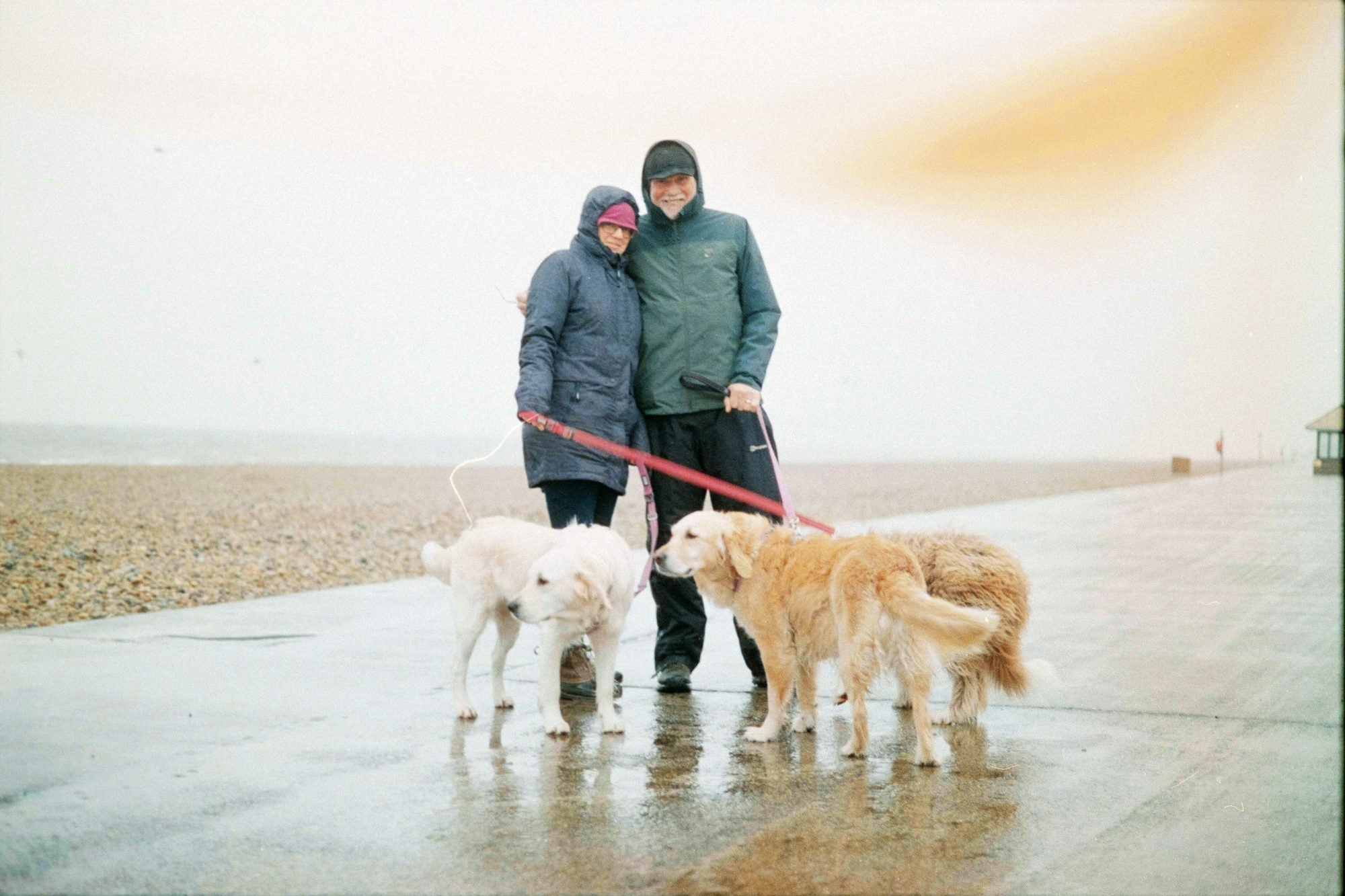 Wie Bekomme Ich Würmer Aus Kirschen Wie bekomme ich dickeres Haar? Tipps und Hausmittel