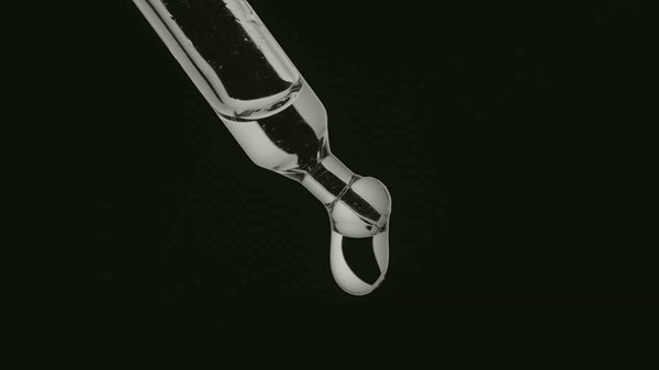 Gewohnheiten annehmen