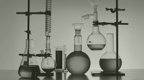 Einblick hinter die Labore